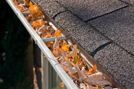 Gutter Cleaning Thumbnail